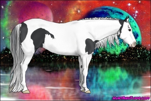 Horse Color:Black Sabino Splash Tobiano 