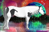 Horse Color:Black Sabino Splash Tobiano 