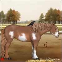 Horse Color:Chestnut Frame