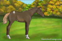 Horse Color:Chocolate Palomino Varnish 