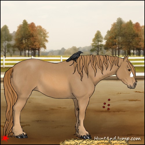 Horse Color:Red Roan 