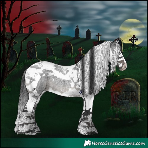 Horse Color:Blue Roan Splash Tobiano