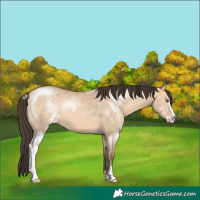 Horse Color:Amber Champagne Dun Sabino