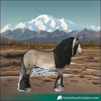 Horse Color:Gray Brown Dun 