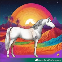 Horse Color:Gray White Spotted Silver Classic Champagne Pearl Tobiano Appaloosa 