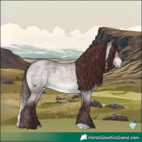 Horse Color:Platinum Chocolate Brown Roan Dun 