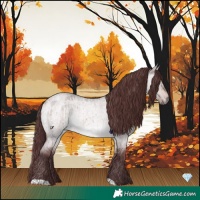 Horse Color:Platinum Chocolate Bay Roan Dun Brindle 