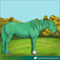 Horse Color:Watercolor Black