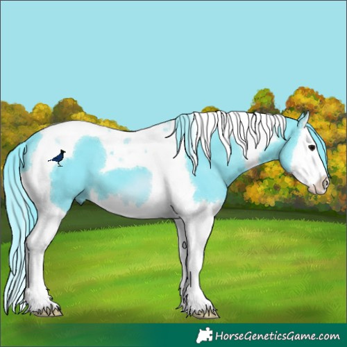 Horse Color:Watercolor Black Splash Tobiano 