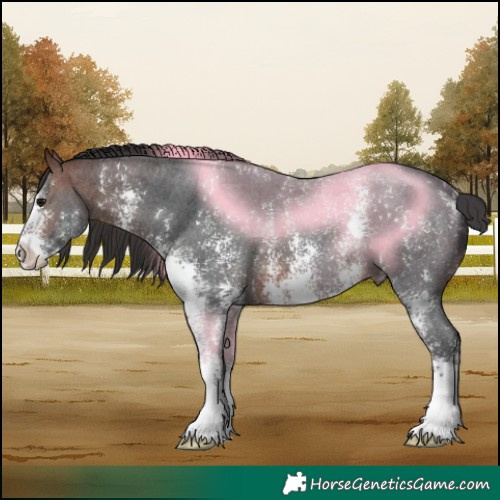 Horse Color:Brown Sabino 