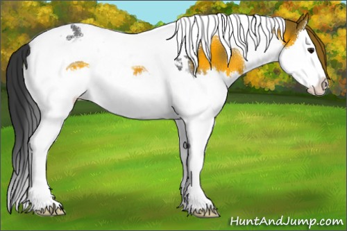 Horse Color:Brown Splash Tobiano