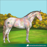 Horse Color:Nacre White Spotted Buckskin Pearl