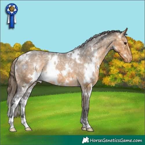 Horse Color:White Spotted Buckskin Ice Appaloosa Rabicano 