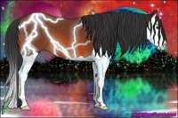 Horse Color:Bay Splash