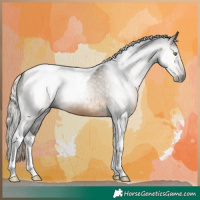 Horse Color:Gray Silver Buckskin Mushroom Tobiano