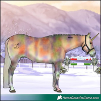 Horse Color:Nacre Silver Buckskin Onyx 