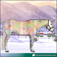 Horse Color:Nacre Silver Buckskin Onyx Tobiano 