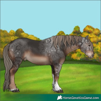 Horse Color:Liver Chestnut Tobiano Rabicano 