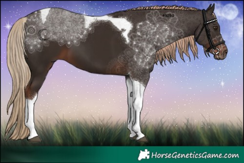 Horse Color:Liver Chestnut Tobiano 