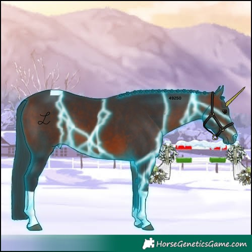 Horse Color:Thunderstruck Bay Tobiano 