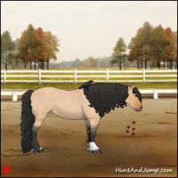 Horse Color:Bay Roan Dun 