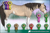 Horse Color:Bay Dun Sabino 