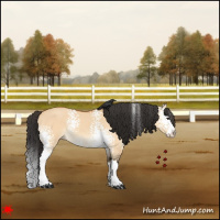 Horse Color:White Spotted Bay Dun Splash 