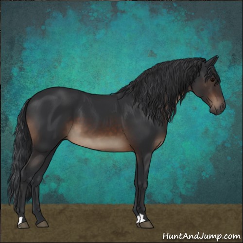 Horse Color:Brown 