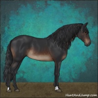 Horse Color:Brown 