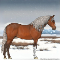 Horse Color:Silver Bay 