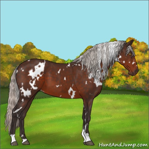 Horse Color:White Spotted Silver Brown 