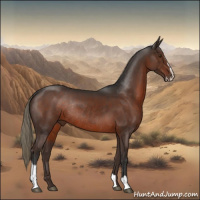 Horse Color:Liver Chestnut Sabino Rabicano