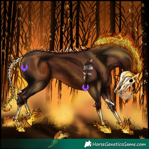 Horse Color:Liver Chestnut Tobiano 