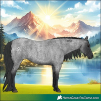 Horse Color:Blue Roan 