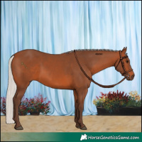 Horse Color:Silver Brown
