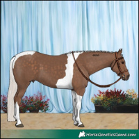 Horse Color:Silver Black Tobiano