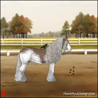 Horse Color:White Spotted Silver Black 