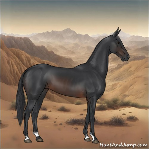 Horse Color:Brown Sabino 