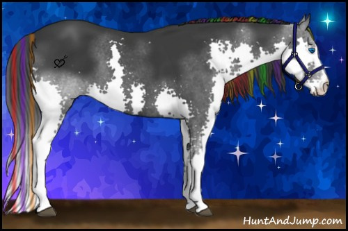 Horse Color:Painted Black Splash