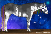 Horse Color:Painted Black Splash 