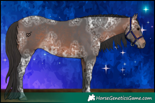 Horse Color:Bay Ice Rabicano