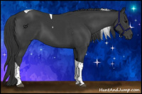 Horse Color:Black Tobiano 