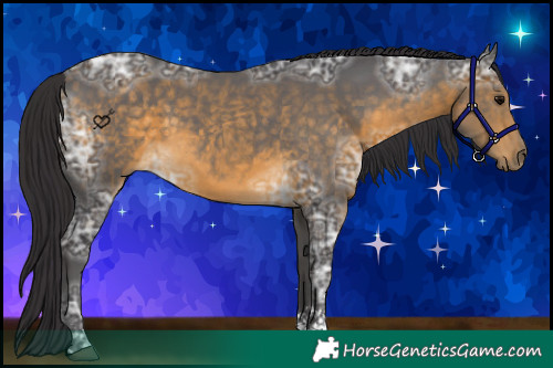 Horse Color:Buckskin Ice Sabino Rabicano