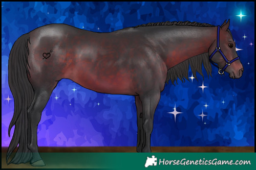 Horse Color:Brown 