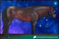 Horse Color:Brown 