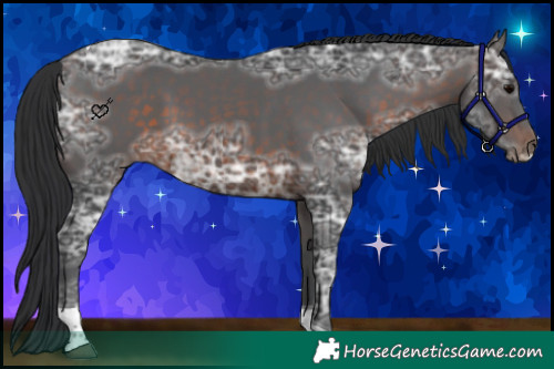 Horse Color:Brown Ice Tobiano