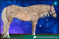 Horse Color:Chocolate Palomino Ice