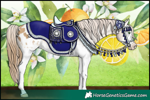 Horse Color:White Spotted Amber Cream Champagne Tobiano Appaloosa Rabicano