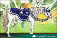 Horse Color:White Spotted Amber Cream Champagne Tobiano Appaloosa Rabicano 