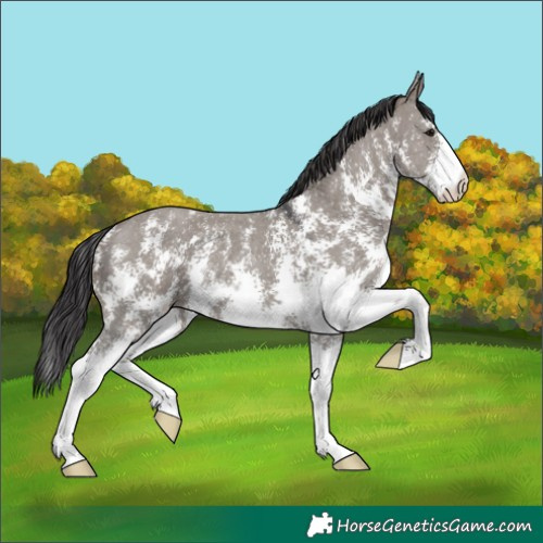 Horse Color:Smoky Grullo Sabino 